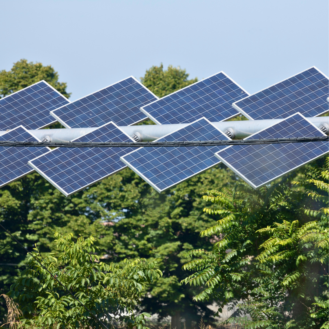 découvrez comment un avocat spécialisé en photovoltaïque peut vous accompagner dans vos projets d'énergie renouvelable. bénéficiez de conseils juridiques adaptés pour optimiser vos installations solaires et sécuriser vos investissements.