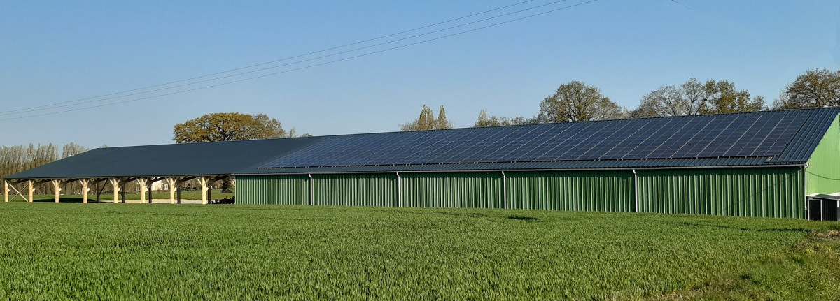 découvrez les avantages des bâtiments agricoles photovoltaïques, qui allient durabilité et efficacité énergétique. optimisez vos terres tout en produisant de l'énergie renouvelable grâce à des solutions innovantes adaptées à l'agriculture moderne.