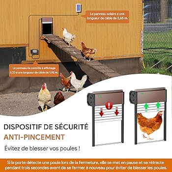découvrez notre ferme avicole solaire, une initiative écologique alliant production de volailles et énergie renouvelable. nous vous proposons des œufs et de la volaille élevés dans le respect de l'environnement, tout en utilisant l'énergie solaire pour nourrir notre exploitation. rejoignez-nous pour une agriculture durable et responsable.