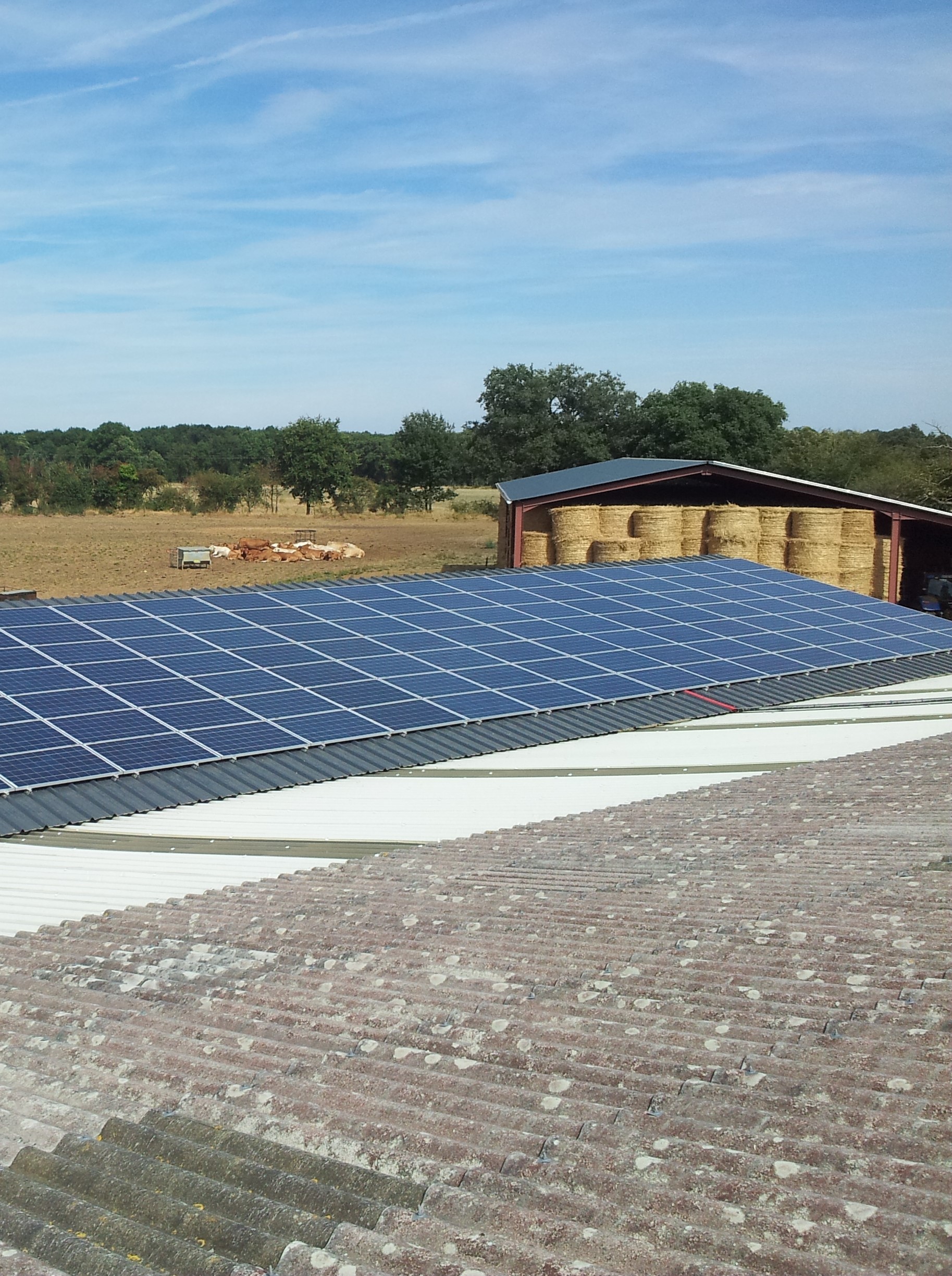 découvrez notre bâtiment avicole pv, conçu pour optimiser la production avicole tout en garantissant le bien-être des animaux. construit avec des matériaux durables et éco-responsables, notre installation vous offre une solution innovante et performante pour vos besoins avicoles.