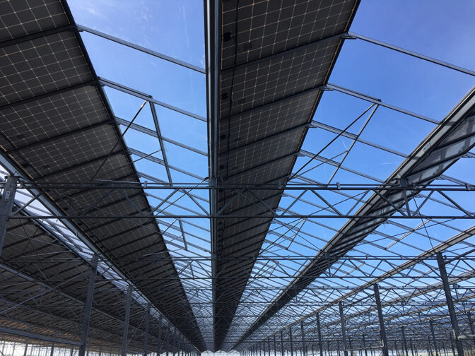 découvrez nos bâtiments avicoles en panneaux photovoltaïques (pv), alliant innovation et durabilité. idéaux pour optimiser la production avicole tout en réduisant votre empreinte écologique.