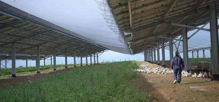 découvrez notre guide sur les bâtiments avicoles photovoltaïques (pv), une solution innovante et écologique pour l'élevage de volailles. optimisez votre production tout en réduisant votre empreinte carbone grâce à des infrastructures adaptées et durables.