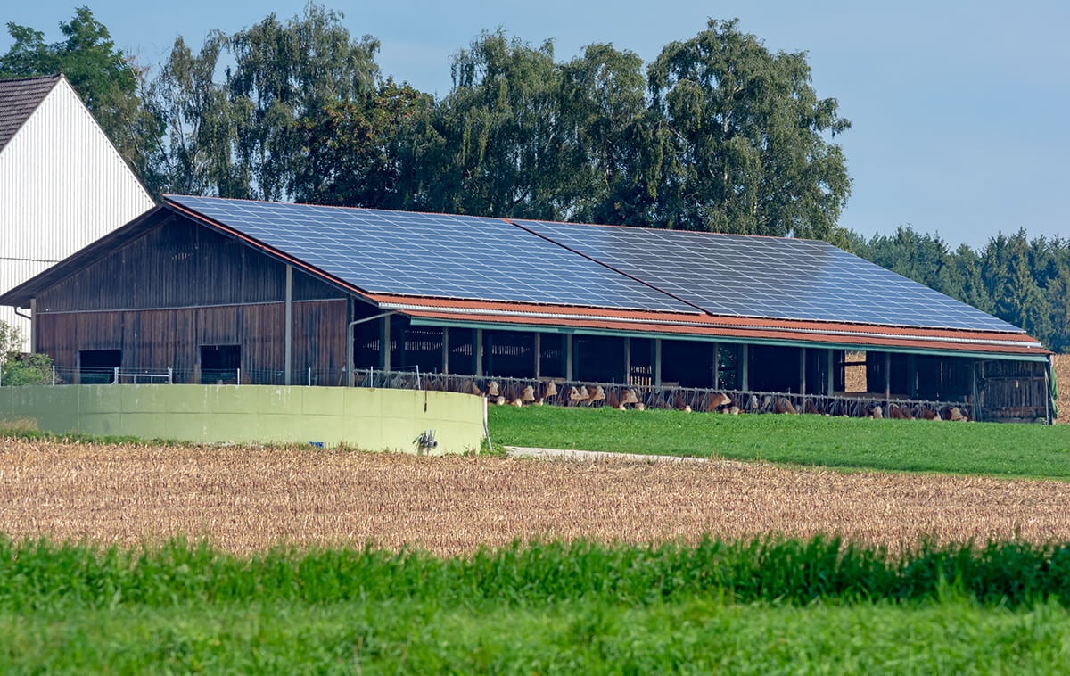 découvrez les avantages des bâtiments photovoltaïques : améliorez l'efficacité énergétique de votre entreprise tout en contribuant à la transition écologique. explorez les solutions durables pour réduire vos coûts et valoriser votre patrimoine.