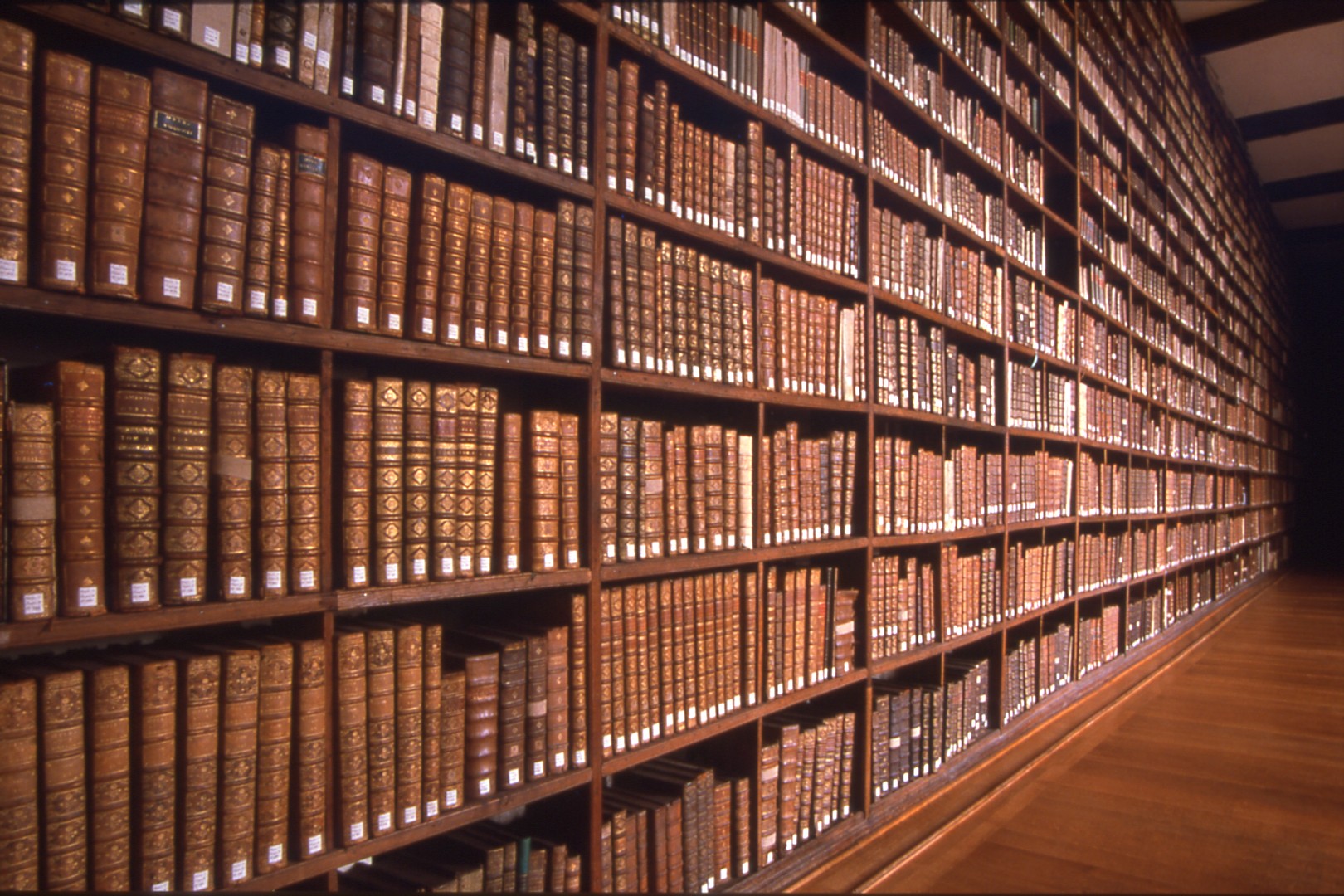 découvrez un monde infini de connaissances et d'aventures à travers notre bibliothèque. explorez des livres, des revues, et des ressources numériques pour enrichir votre culture et satisfaire votre curiosité.
