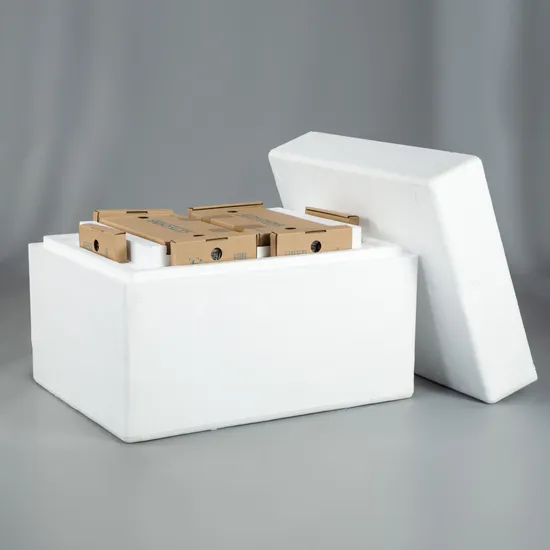 découvrez notre sélection de boîtes eps, idéales pour le stockage sécurisé et la préservation de vos produits. alliant légèreté et solidité, ces boîtes sont parfaites pour un usage professionnel ou personnel.
