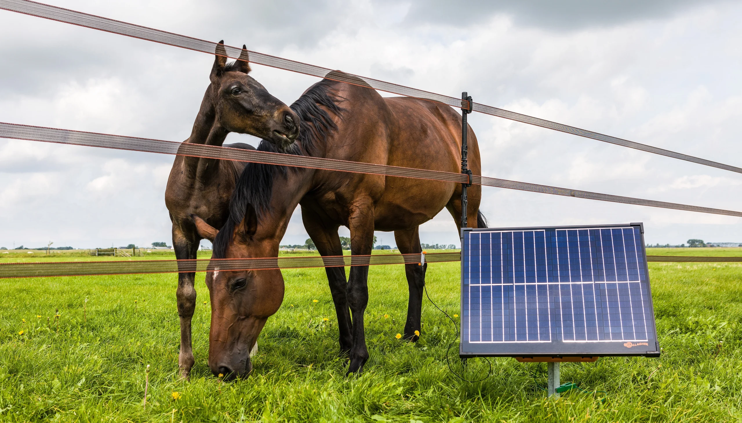 découvrez comment combiner panneaux solaires et clôtures électriques pour une sécurité accrue et une autonomie énergétique. idéal pour protéger votre propriété tout en respectant l'environnement.