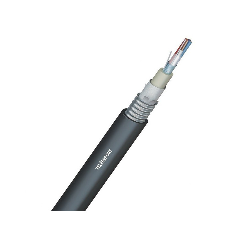 découvrez notre gamme de câbles téléport, conçus pour garantir une connexion fiable et rapide pour tous vos appareils. optimisez votre expérience numérique avec des produits de haute qualité qui répondent à vos besoins en matière de connectivité.