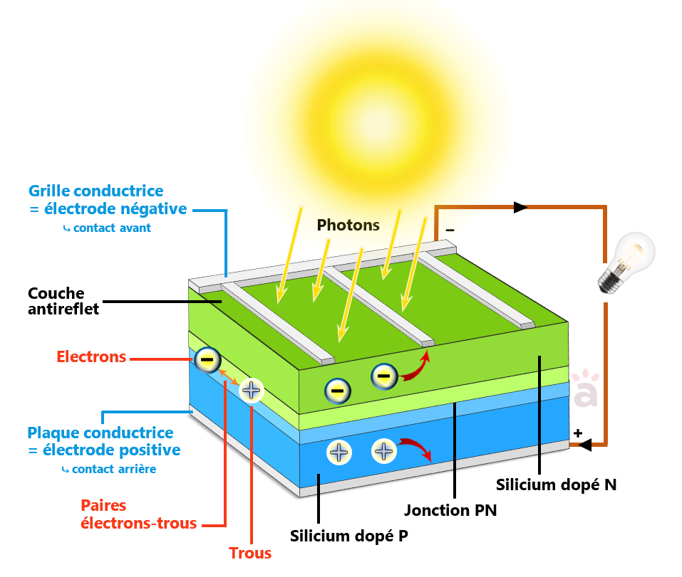 découvrez les cellules photovoltaïques, une technologie innovante qui convertit la lumière solaire en électricité. apprenez comment elles fonctionnent, leurs avantages environnementaux, et comment elles peuvent contribuer à un avenir énergétique durable.