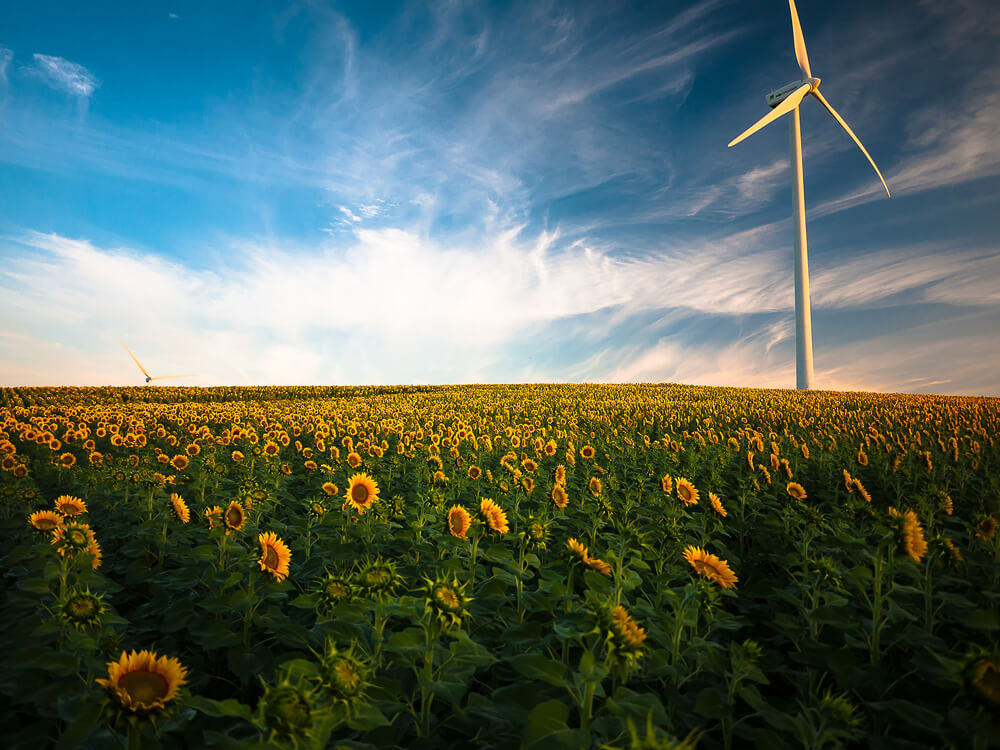 découvrez les avantages d'un champ photovoltaïque, une solution écologique pour produire de l'énergie solaire. apprenez comment optimiser l'utilisation de l'espace tout en contribuant à la transition énergétique grâce à des installations durables et performantes.