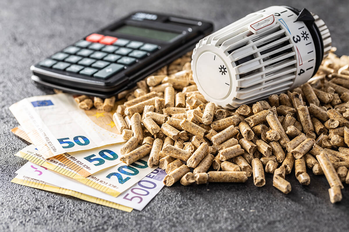 découvrez notre chaudière à pellets idéale pour chauffer une surface de 150m². découvrez ses avantages écologiques, son efficacité énergétique et son fonctionnement simple. transformez votre confort intérieur avec une solution de chauffage durable et performante. optez pour une chaleur agréable tout en respectant l'environnement.