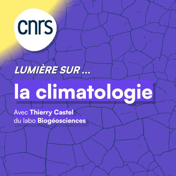découvrez l'étude du climat et ses variations à travers la climatologie. apprenez comment les changements climatiques impactent notre environnement et quelles solutions sont mises en œuvre pour préserver notre planète.