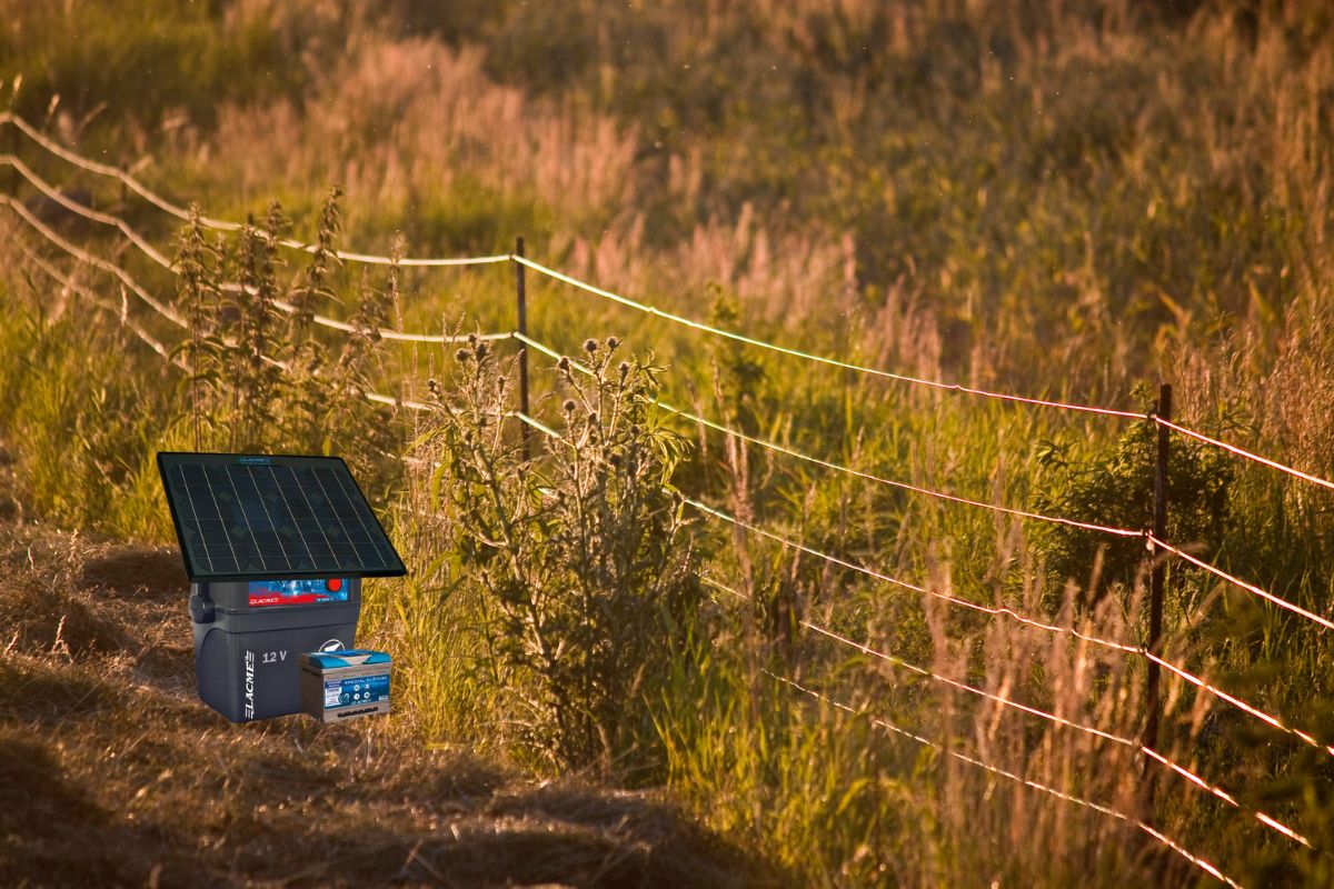 découvrez notre clôture solaire, une solution innovante et écologique pour sécuriser votre espace tout en respectant l'environnement. profitez d'une lumière douce et chaleureuse la nuit, tout en réduisant votre consommation d'énergie grâce à un système d'éclairage autonome.