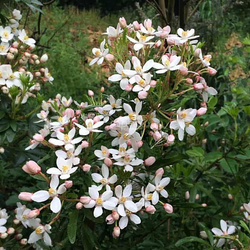 découvrez cogestia, votre partenaire de confiance pour des solutions de gestion innovantes et personnalisées. améliorez l'efficacité de vos opérations grâce à notre expertise en stratégie et technologie. rejoignez-nous pour transformer votre avenir dès aujourd'hui.