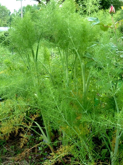 découvrez notre plateforme dédiée aux échanges et aux partages, où le terme 'commun' prend tout son sens. rejoignez une communauté dynamique qui valorise l'entraide et la collaboration.