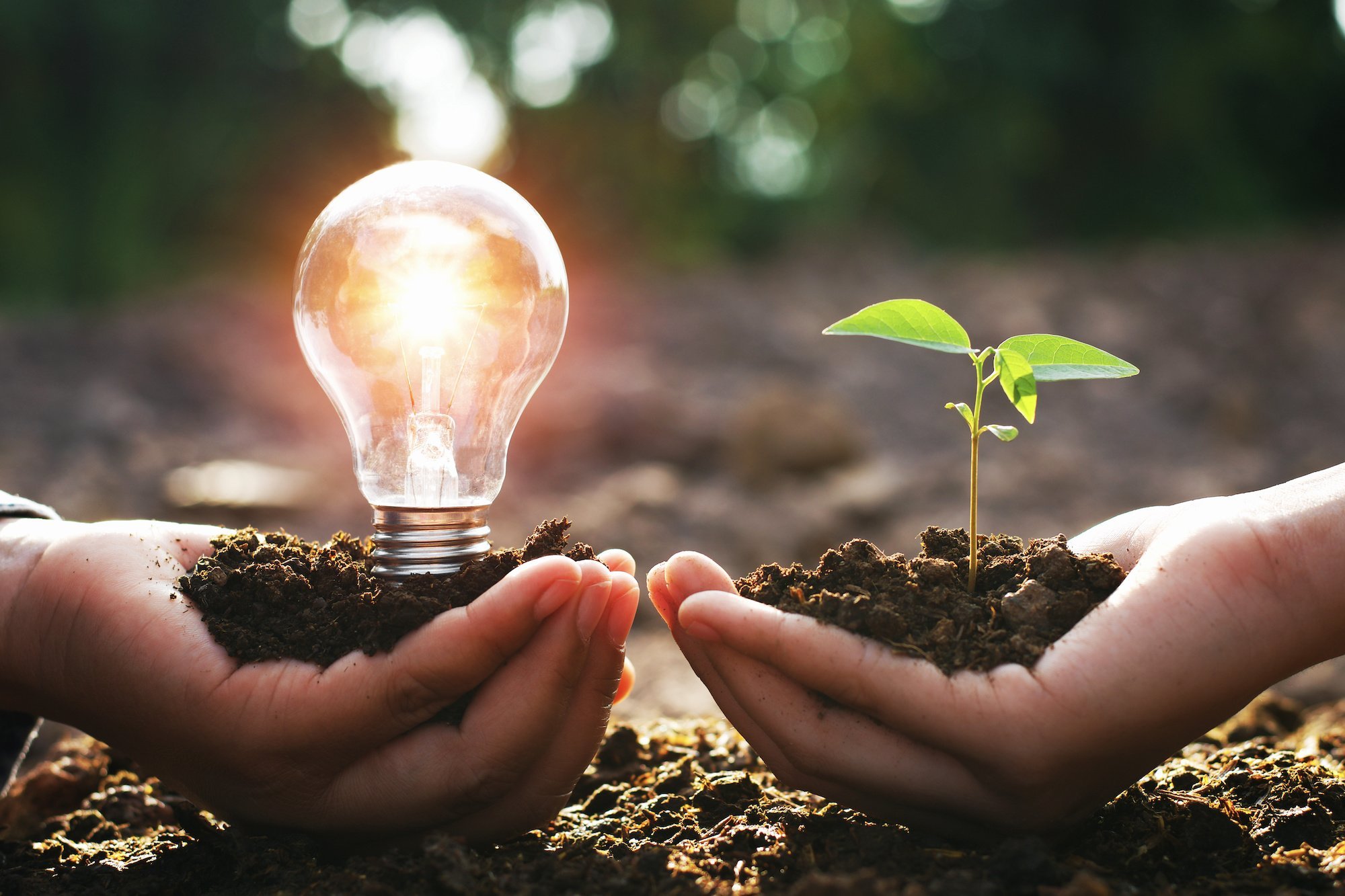 découvrez des conseils pratiques et des stratégies pour optimiser votre consommation d'énergie, réduire vos factures et adopter des comportements écoresponsables. informez-vous sur les solutions durables pour une vie plus verte.