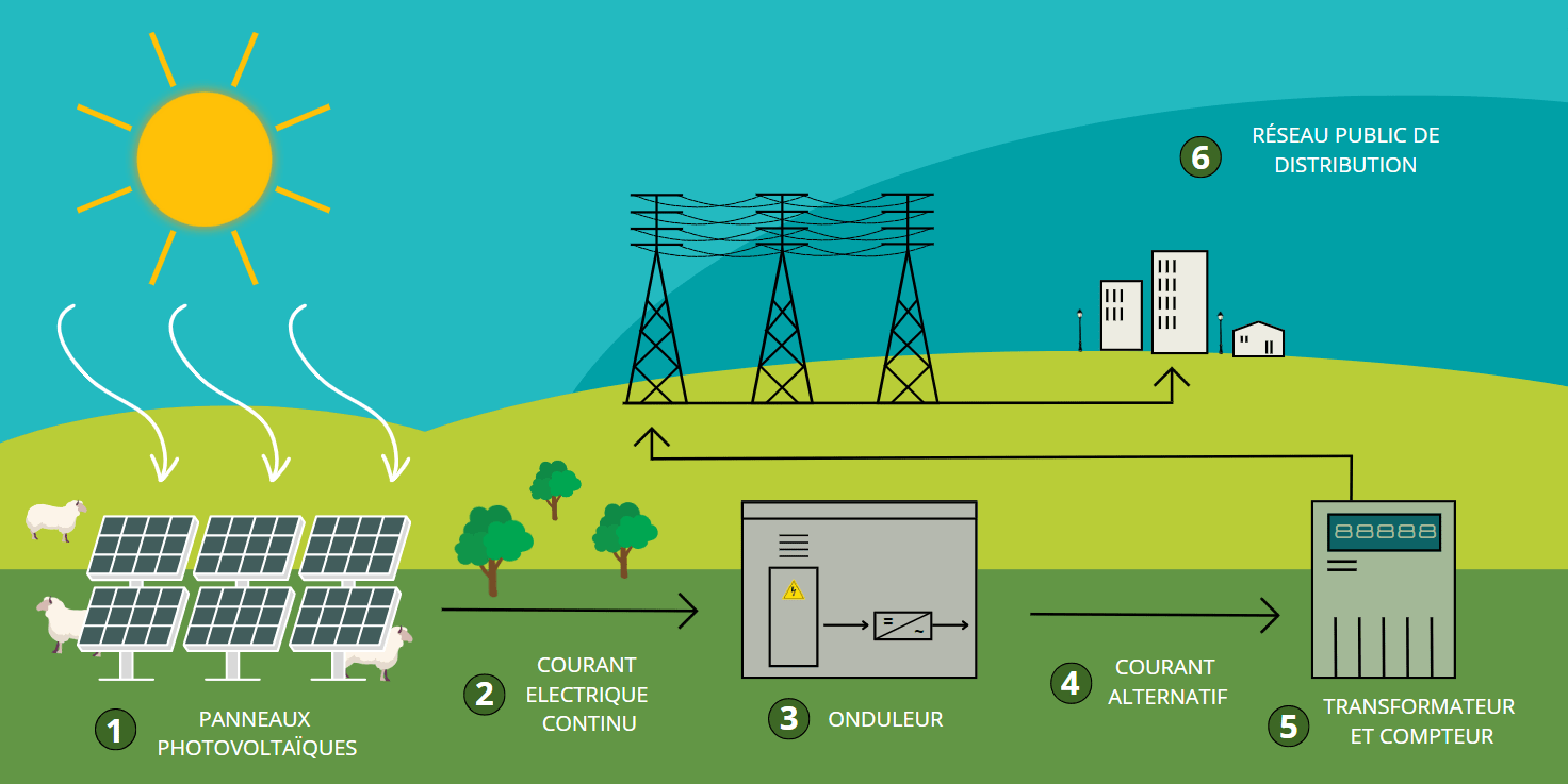 découvrez les différents coûts associés à la location d'un terrain pour panneaux photovoltaïques. informez-vous sur les facteurs à considérer, les tarifs moyens et les options disponibles pour maximiser votre investissement en énergie solaire.