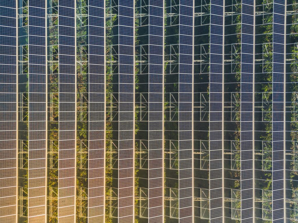 découvrez les coûts associés à l'installation d'une serre photovoltaïque. nous vous fournissons des informations détaillées sur les investissements initiaux, les économies d'énergie et les avantages à long terme de cette technologie. optez pour une alternative écologique tout en optimisant votre production agricole !
