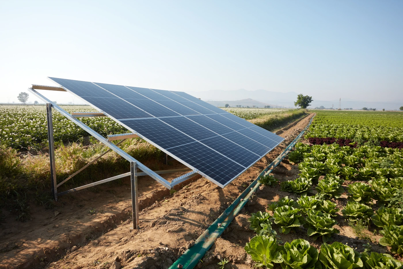 découvrez le coût d'une serre photovoltaïque, explorez les avantages économiques et environnementaux de cette solution innovante pour cultiver vos plantes tout en produisant de l'énergie renouvelable. informez-vous sur les investissements initiaux et les économies à long terme.