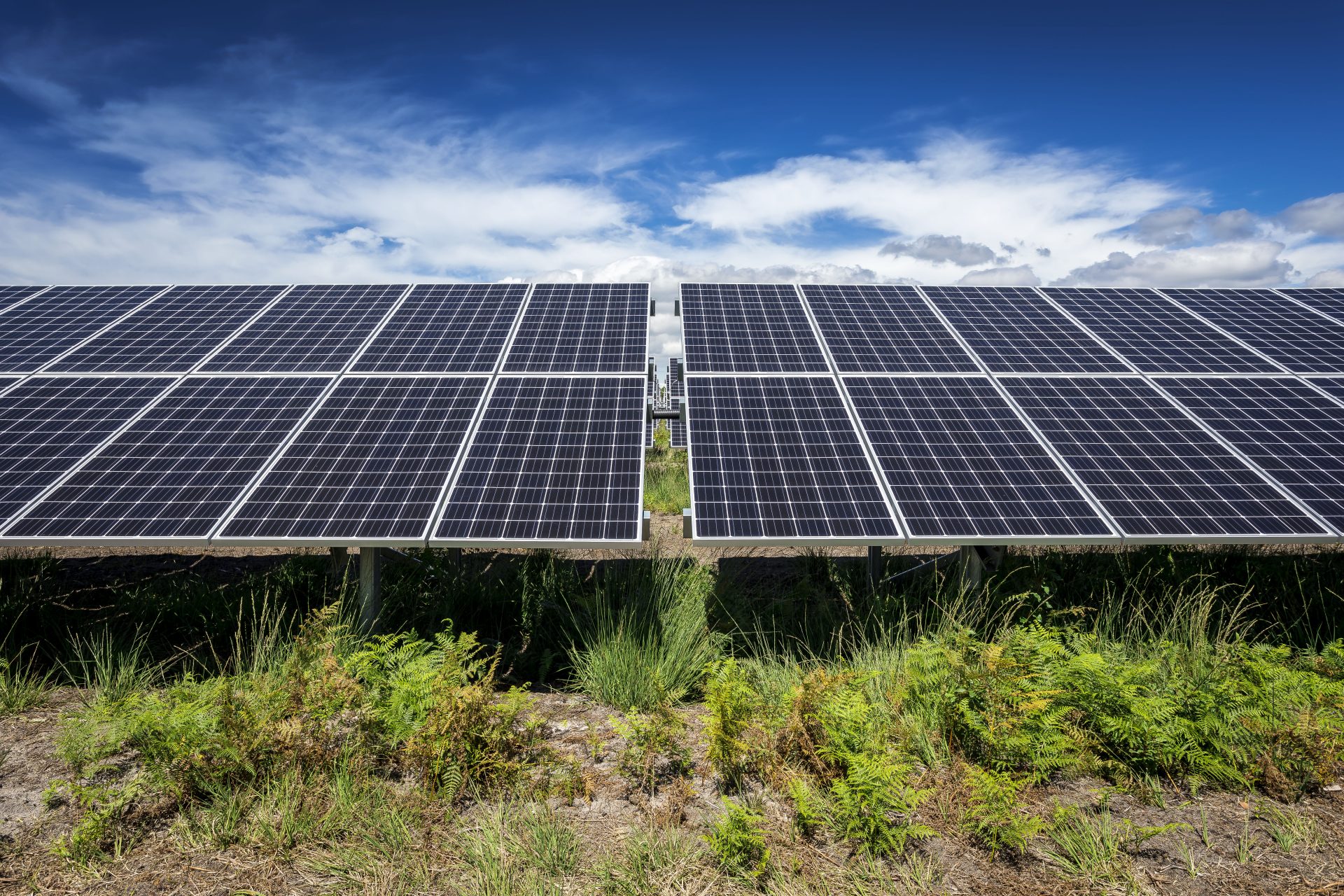 découvrez les avantages du crédit solaire pour financer vos projets d'énergie renouvelable. optimisez vos économies tout en contribuant à la préservation de l'environnement grâce à des solutions de financement adaptées à vos besoins.