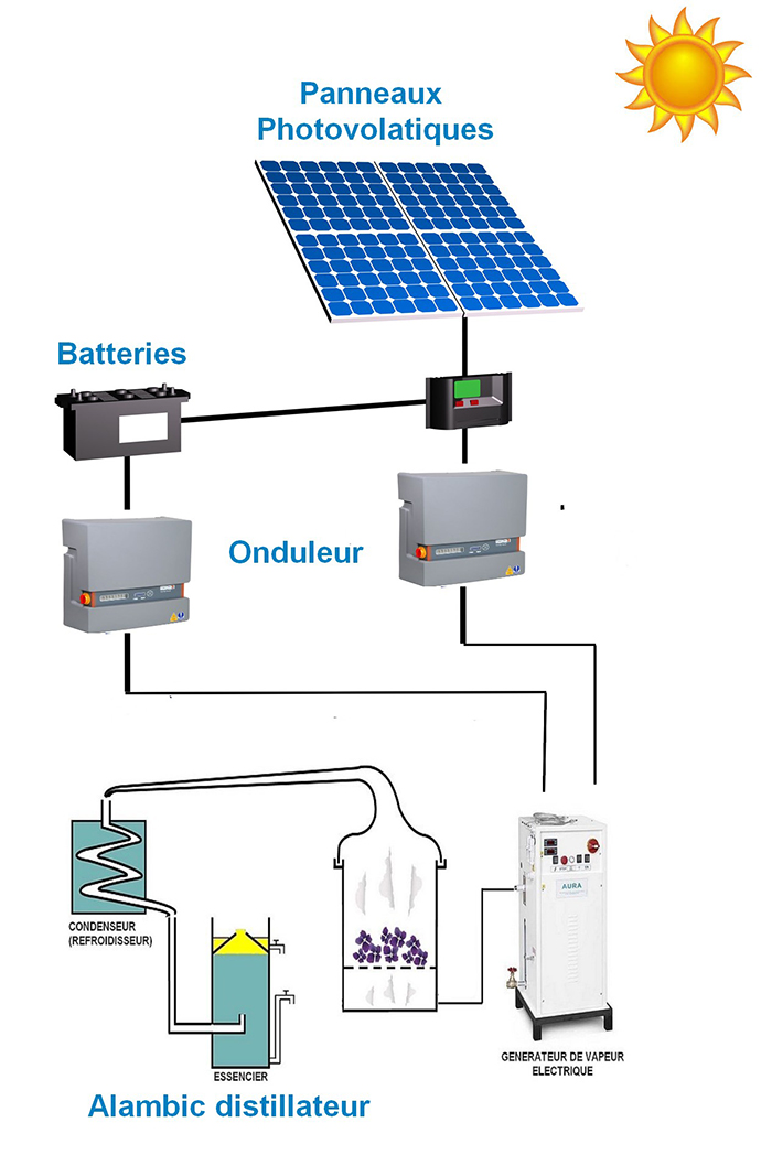 découvrez notre service expert de désinstallation de panneaux photovoltaïques. nous garantissons un processus sécurisé et efficace pour retirer vos installations solaires tout en respectant l'environnement. contactez-nous pour une évaluation personnalisée.