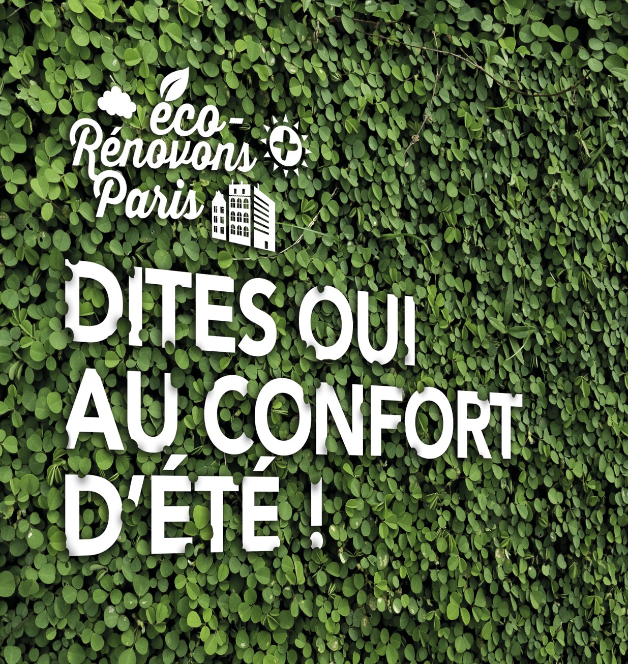 découvrez des avis d'experts et d'utilisateurs sur l'éco-rénovation. apprenez-en plus sur les meilleures pratiques, les matériaux écologiques et les solutions durables pour transformer votre habitat tout en respectant l'environnement.