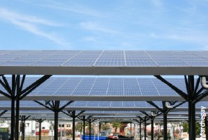découvrez edf enr, le spécialiste des énergies renouvelables en france. explorez nos solutions innovantes pour la production d'énergie solaire, éolienne et autres sources renouvelables, et engagez-vous dans une transition énergétique durable.