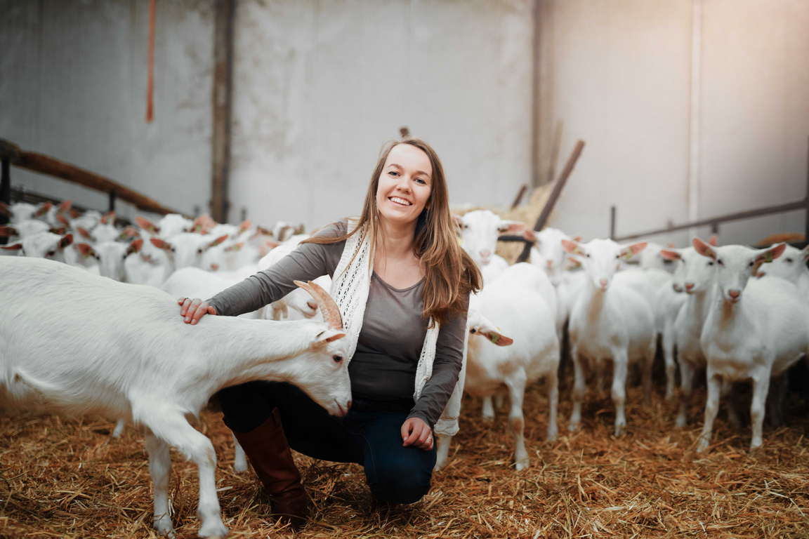 découvrez l'univers passionnant de l'élevage, un secteur clé de l'agriculture qui allie tradition et innovation. apprenez-en plus sur les différentes races d'animaux, les méthodes d'élevage durables et les enjeux de la filière. que vous soyez passionné ou simplement curieux, plongez dans ce monde fascinant où le bien-être animal et la production responsable sont au cœur des préoccupations.