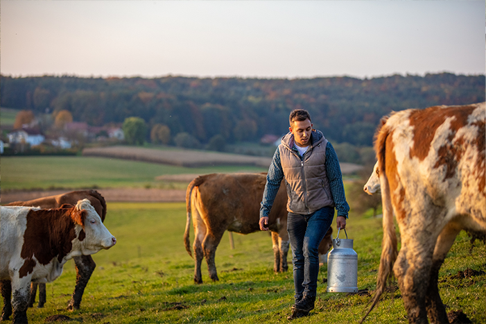 découvrez notre élevage passionné, dédié à la sélection et à l'élevage d'animaux de qualité. apprenez-en plus sur nos pratiques durables, le bien-être animal et notre engagement envers la préservation des espèces.