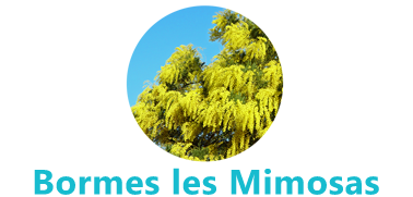 découvrez les opportunités d'emploi à bormes-les-mimosas, une charmante commune du var. que vous soyez à la recherche d'un travail saisonnier ou d'un poste à temps plein, explorez les offres d'emploi disponibles et trouvez le job qui vous correspond dans cette belle destination ensoleillée.