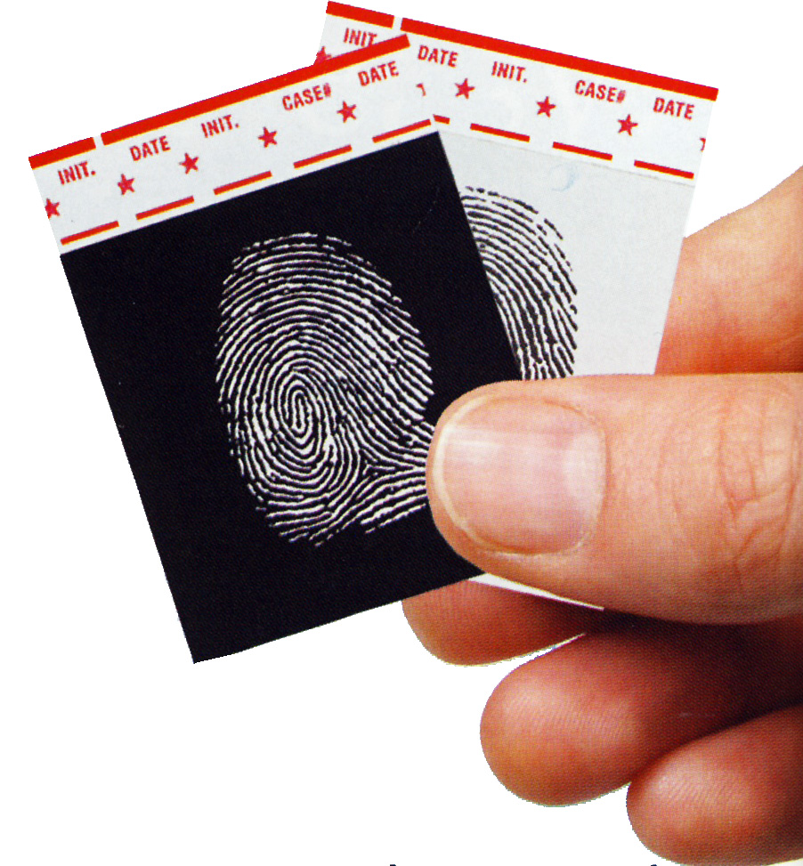 découvrez notre article sur l'empreinte, une notion essentielle qui explore les traces que nous laissons derrière nous, qu'elles soient écologiques, numériques ou sociales. apprenez comment évaluer et réduire votre impact sur l'environnement et sur la société.