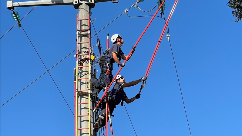découvrez enedis, le gestionnaire du réseau électrique en france. obtenez des informations sur la distribution d'électricité, la gestion des compteurs, et les services proposés aux usagers. en savoir plus sur les initiatives d'enedis pour une transition énergétique durable.