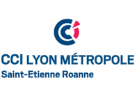 découvrez comment bénéficier de l'énergie gratuite à lyon : conseils, astuces et solutions pour réduire vos factures et améliorer votre impact environnemental. adoptez une vie plus économique et durable dès aujourd'hui !