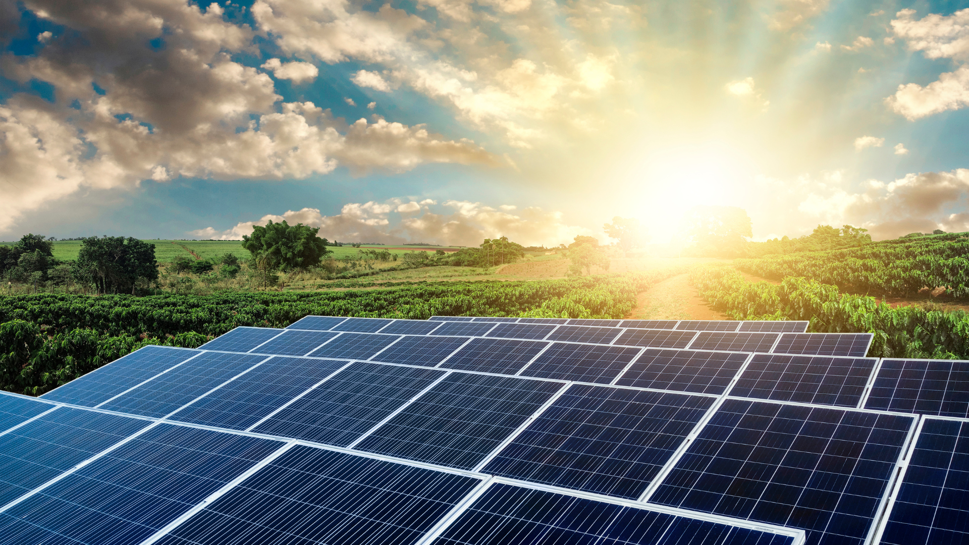 découvrez les avantages de l'énergie solaire, une source d'énergie renouvelable et durable. apprenez comment elle peut réduire vos factures d'électricité et préserver l'environnement tout en vous offrant une autonomie énergétique.