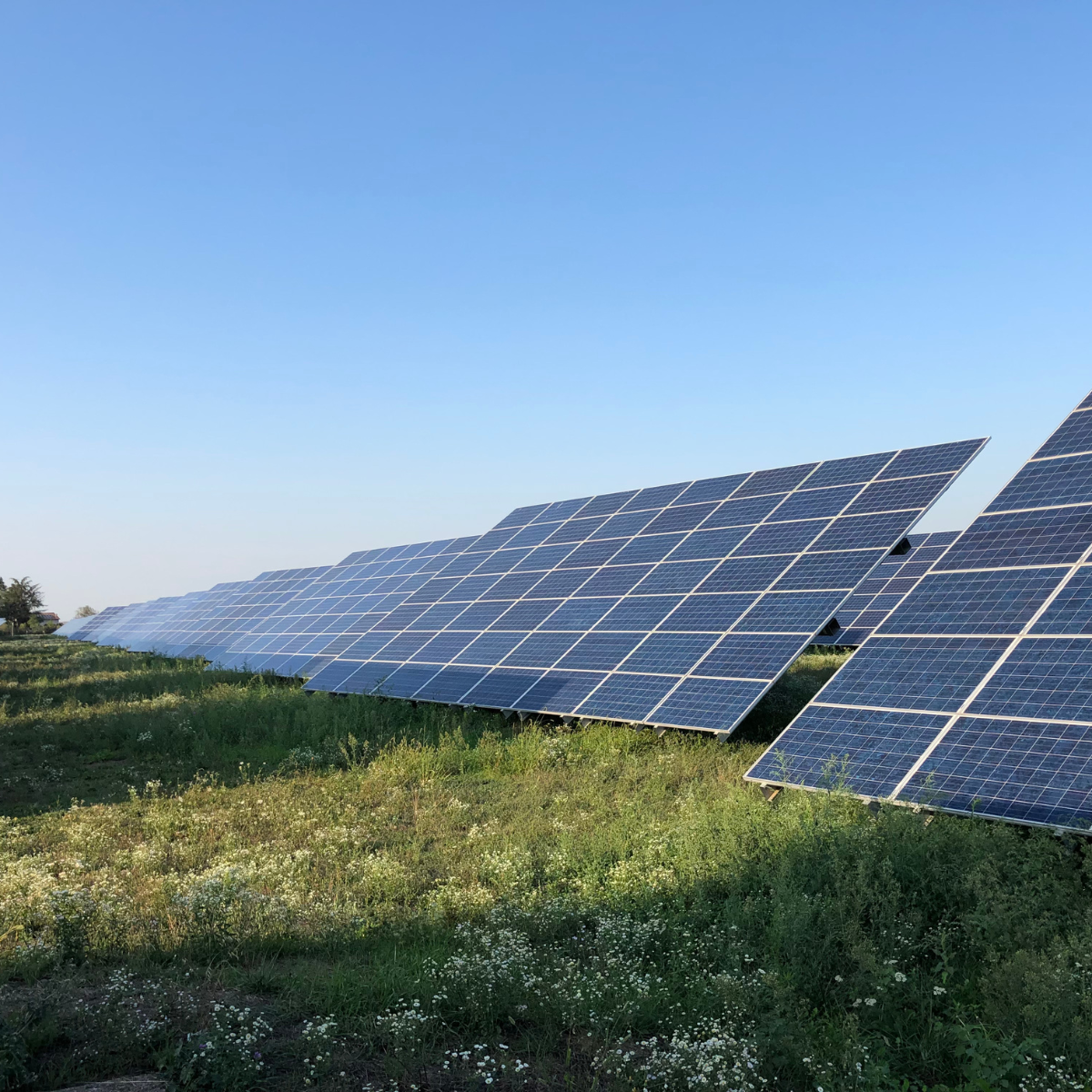 découvrez les avantages de l'énergie solaire, une solution renouvelable et durable qui permet de réduire vos factures d'électricité tout en préservant l'environnement. informez-vous sur les technologies solaires, les installations et les aides disponibles pour profiter de cette source d'énergie inépuisable.