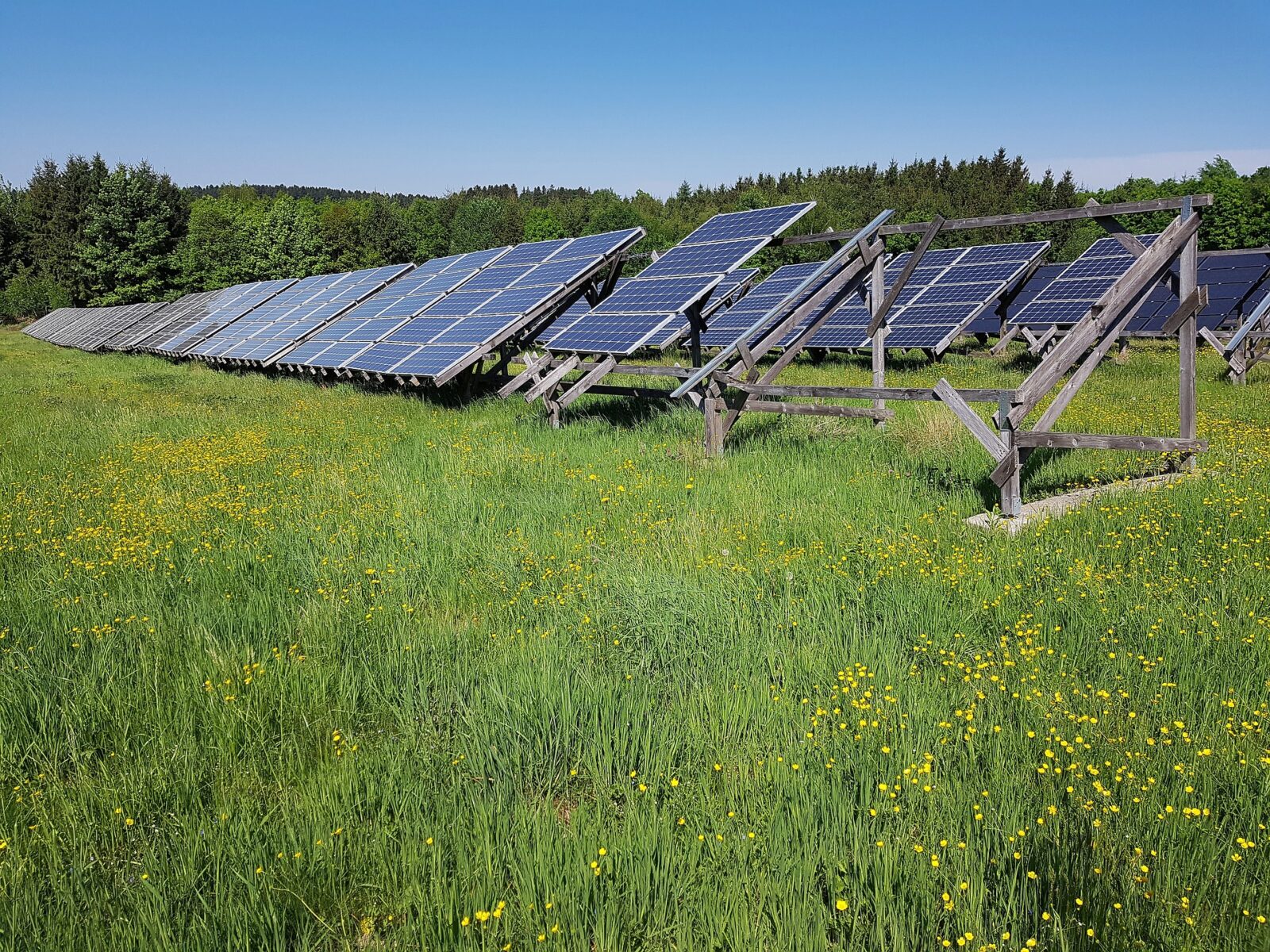 découvrez les enjeux liés au photovoltaïque en france, de l'impact environnemental à la transition énergétique, en passant par les opportunités économiques et les défis techniques. informez-vous sur les solutions durables pour un avenir plus vert.