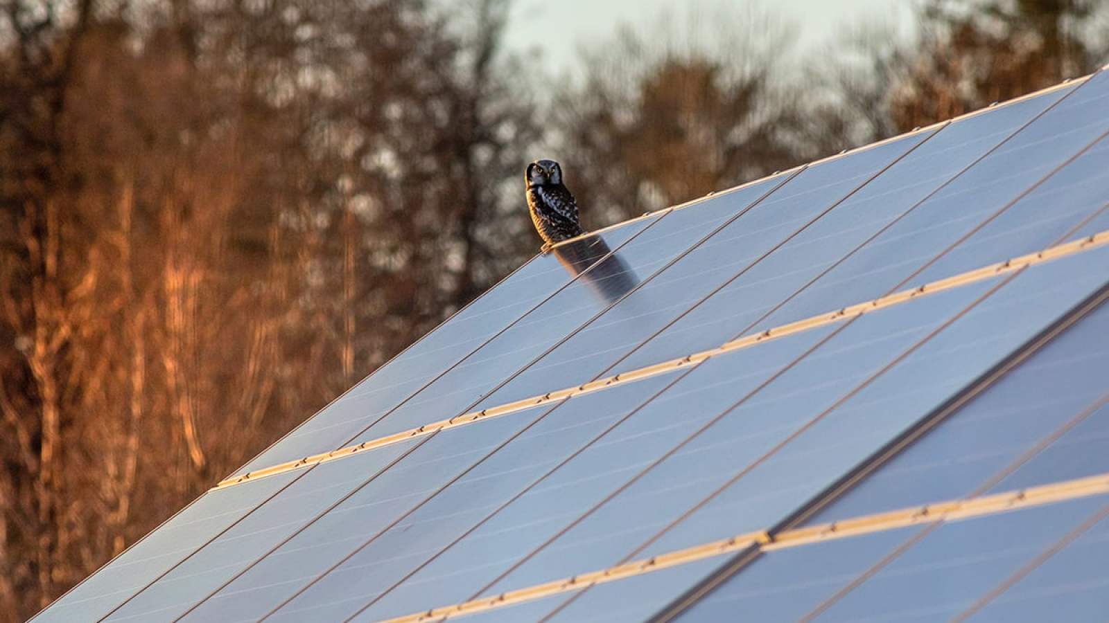 obtenez une estimation précise de votre installation photovoltaïque. découvrez comment maximiser votre production d'énergie solaire et réduire vos coûts grâce à notre service d'évaluation sur mesure.