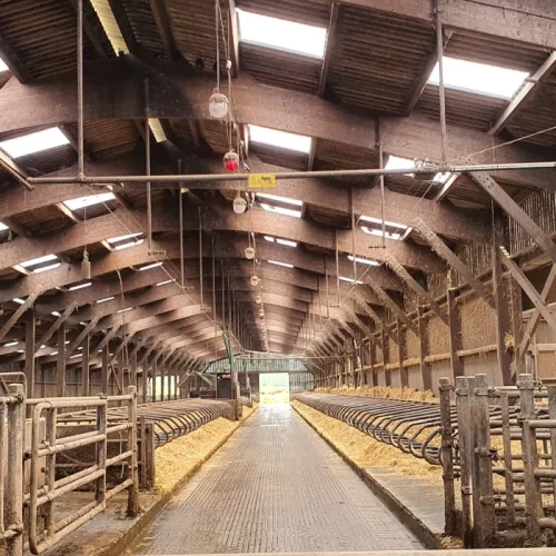 découvrez nos services d'évaluation pour bâtiments agricoles. obtenez une estimation précise de la valeur de vos infrastructures grâce à nos experts. optimisez votre investissement et assurez la pérennité de votre exploitation agricole.