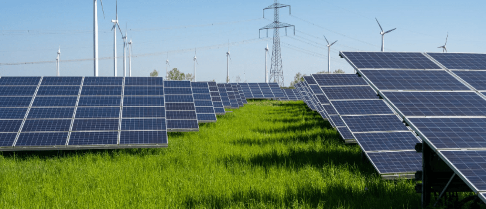 découvrez nos conseils pour éviter les arnaques liées aux forums sur le photovoltaïque. informez-vous sur les bonnes pratiques et apprenez à reconnaître les faux conseils pour faire des choix éclairés et sécurisés en matière d'énergie solaire.