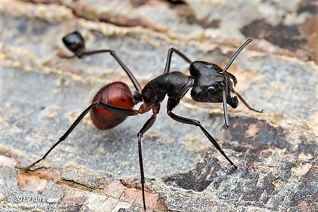 découvrez le forum exotique, votre espace de partage et d'échange dédié à la culture, la gastronomie et les destinations lointaines. rejoignez une communauté passionnée pour explorer ensemble les merveilles du monde exotique.