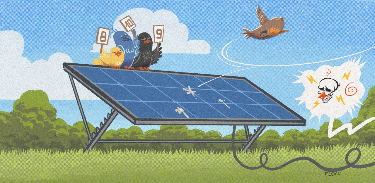 découvrez notre exposition dédiée aux panneaux photovoltaïques, où nous vous présentons les dernières innovations en matière d'énergie solaire, leurs avantages écologiques, ainsi que des conseils pratiques pour optimiser votre installation. rejoignez-nous pour explorer un avenir durable !