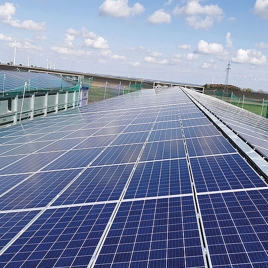 découvrez notre ferme avicole solaire, un modèle d'élevage durable alliant agriculture avicole et énergies renouvelables. offrez à vos poules un environnement sain tout en bénéficiant d'une production d'énergie solaire respectueuse de l'environnement. engagez-vous pour une agriculture éthique et innovante !