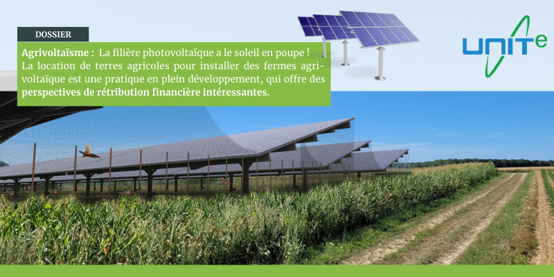 découvrez notre ferme solaire agricole, un projet innovant qui allie production d'énergie renouvelable et agriculture durable. apprenez comment nous cultivons des plantes tout en produisant de l'électricité verte, contribuant ainsi à la transition énergétique et à la préservation de l'environnement.