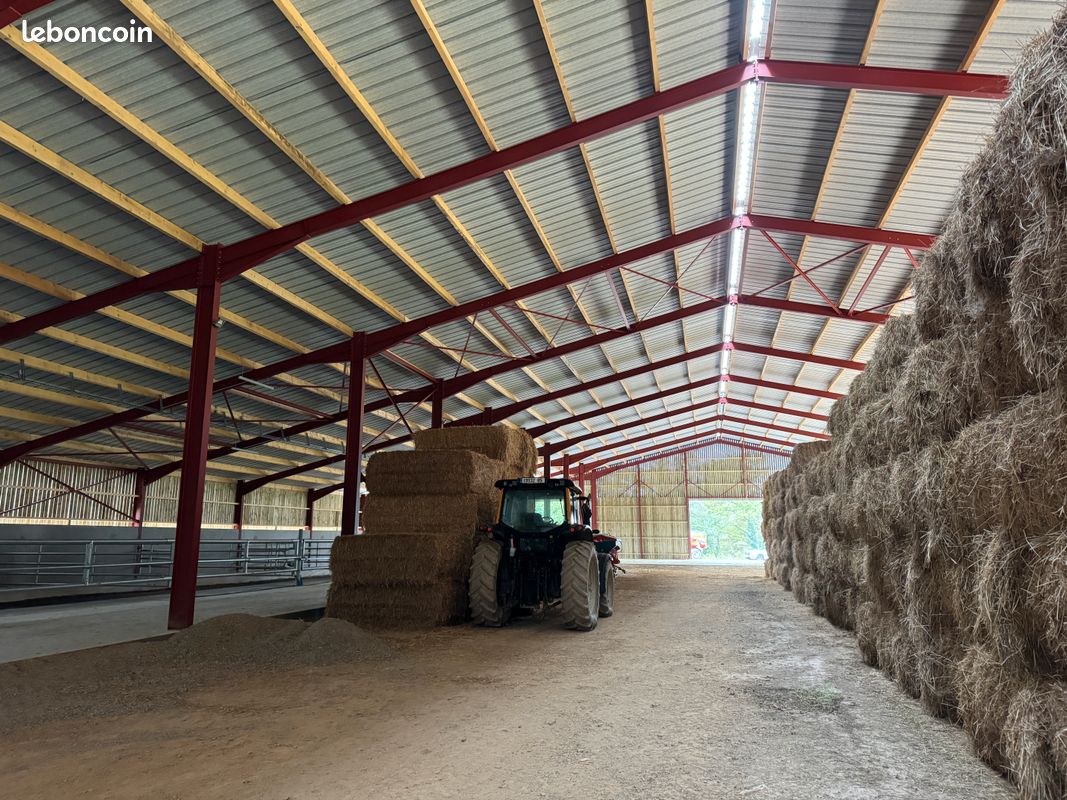 découvrez comment financer la construction ou l'aménagement de votre hangar. explorez les options de prêts et d'aides financières adaptées à vos besoins pour maximiser votre projet sans alourdir votre budget.