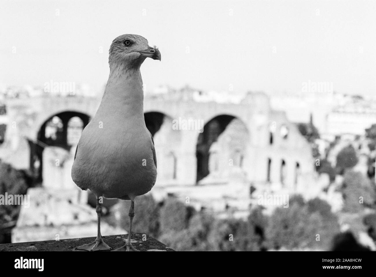 rejoignez le forum 35mm, votre espace dédié aux passionnés de photographie argentique. partagez vos expériences, conseils et découvertes sur la photographie au format 35mm et échangez avec une communauté d'amateurs et de professionnels.