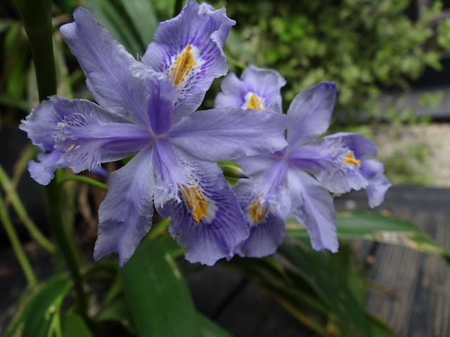 découvrez le forum exotique, votre espace dédié aux discussions et échanges sur les cultures, voyages et expériences exotiques. partagez vos aventures, posez vos questions et connectez-vous avec des passionnés du monde entier.