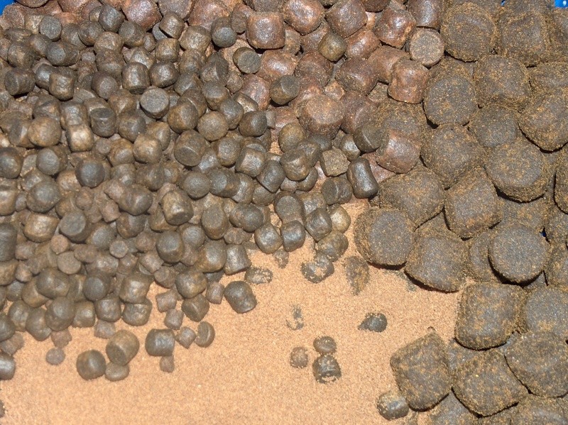 découvrez le forum pellets, l'espace d'échange idéal pour les passionnés de chauffage au granulé. partagez vos astuces, trouvez des conseils sur les meilleurs pellets et échangez avec d'autres utilisateurs pour un confort optimal chez vous.