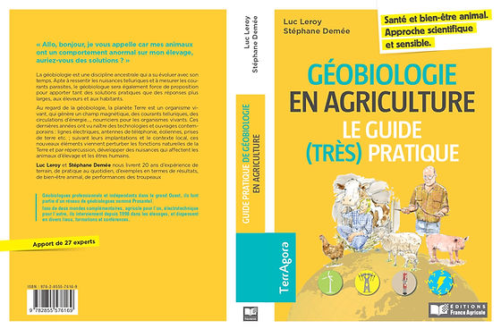 découvrez comment la géobiologie et les installations photovoltaïques interagissent pour optimiser votre bien-être et l'efficacité énergétique de votre environnement. explorez les bénéfices d'une approche intégrative alliant énergie solaire et santé.