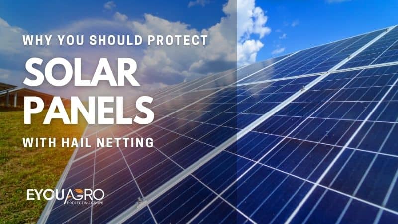 découvrez comment la grêle peut affecter la performance et la durabilité de vos panneaux solaires. apprenez les meilleures pratiques pour protéger votre installation et maximiser son efficacité face aux intempéries.