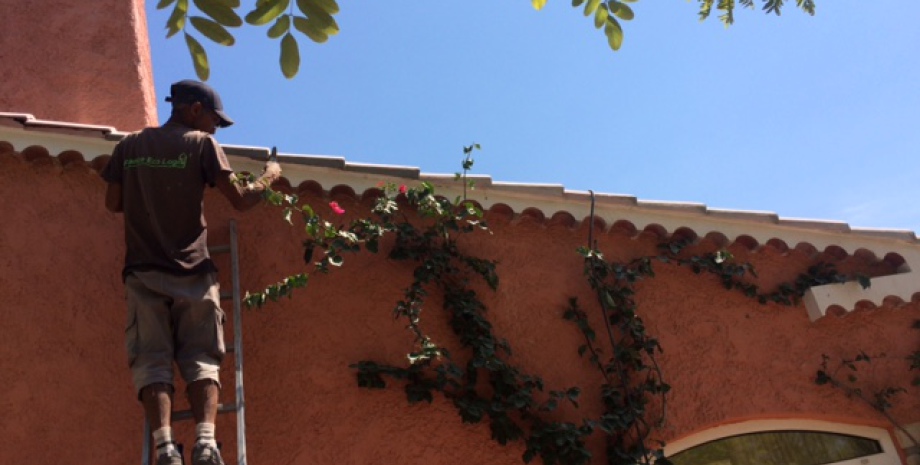 découvrez notre analyse approfondie sur les avis concernant eco logis. informez-vous sur la qualité des services, les avis des clients et les solutions écologiques proposées pour améliorer votre cadre de vie tout en respectant l'environnement.