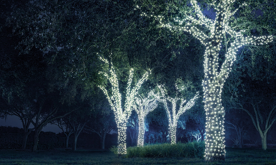 illuminez vos soirées avec notre guirlande solaire élégante et écologique. parfaite pour le jardin, la terrasse ou les événements en plein air, elle crée une ambiance chaleureuse tout en économisant de l'énergie. facile à installer et résistante aux intempéries, elle devient l'accessoire incontournable pour embellir vos espaces extérieurs.